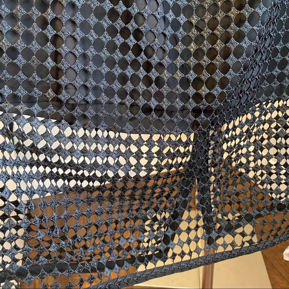 SOLD❗️Ann Taylor Modern Mesh Overlay Skirt - Picture 4 of 7